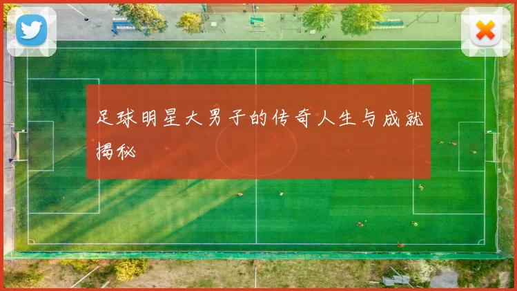 足球明星大男子的传奇人生与成就揭秘