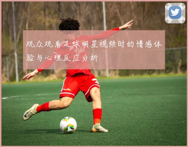 观众观看足球明星视频时的情感体验与心理反应分析