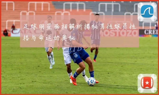 足球明星面相解析揭秘男性球员性格与命运的奥秘