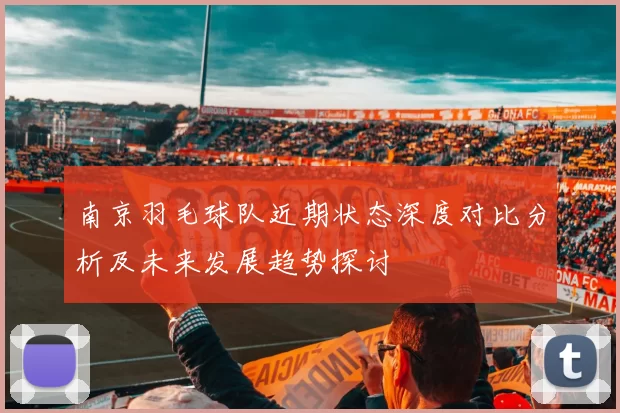 南京羽毛球队近期状态深度对比分析及未来发展趋势探讨