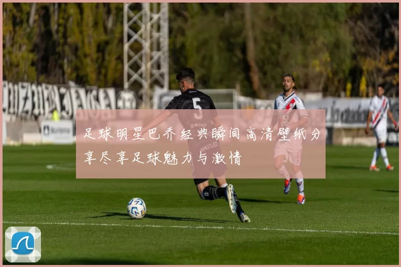 足球明星巴乔经典瞬间高清壁纸分享尽享足球魅力与激情
