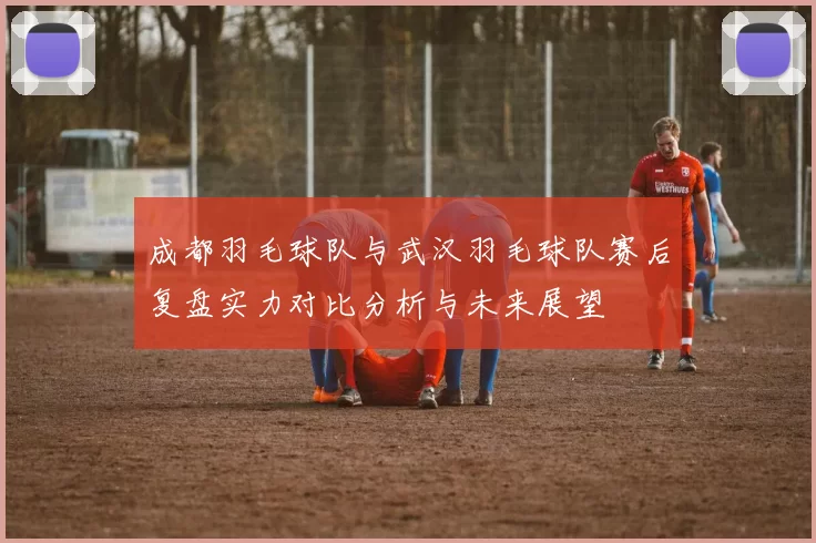 成都羽毛球队与武汉羽毛球队赛后复盘实力对比分析与未来展望