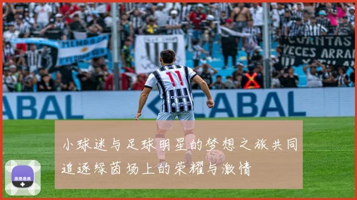 小球迷与足球明星的梦想之旅共同追逐绿茵场上的荣耀与激情