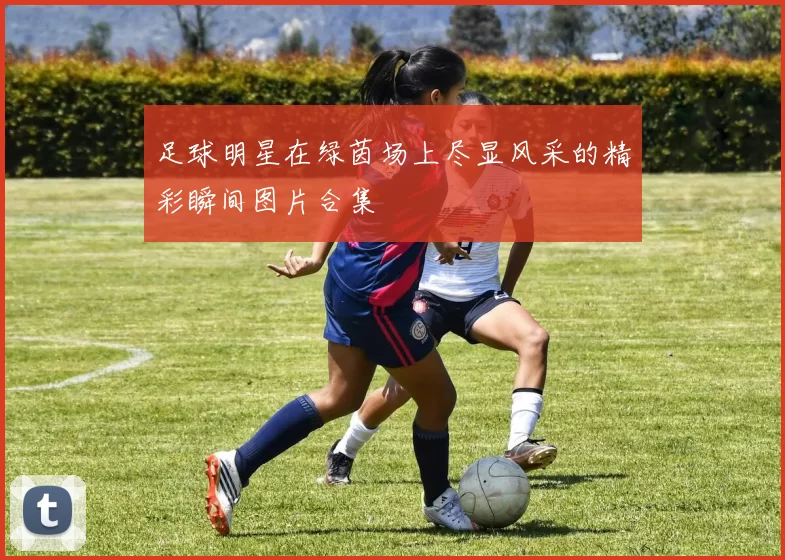 足球明星在绿茵场上尽显风采的精彩瞬间图片合集