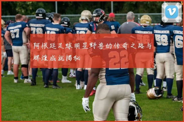 阿根廷足球明星野兽的传奇之路与辉煌成就揭秘