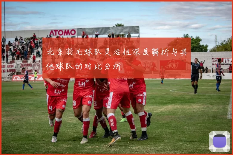 北京羽毛球队灵活性深度解析与其他球队的对比分析