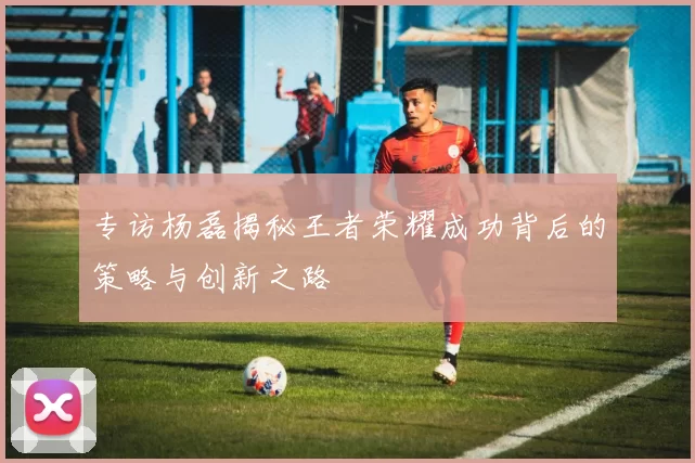 专访杨磊揭秘王者荣耀成功背后的策略与创新之路