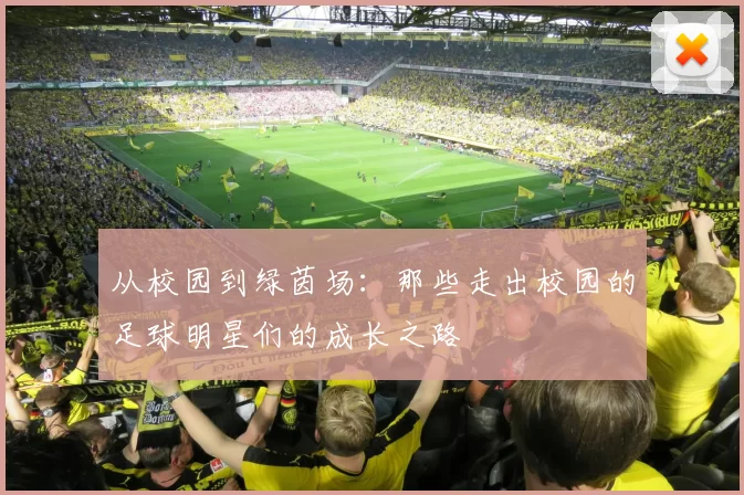 从校园到绿茵场：那些走出校园的足球明星们的成长之路
