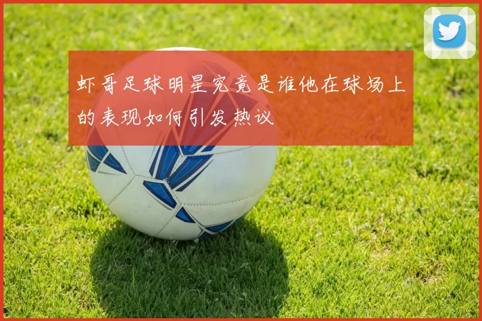 虾哥足球明星究竟是谁他在球场上的表现如何引发热议