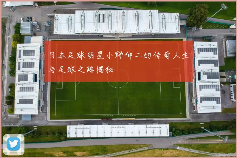 日本足球明星小野伸二的传奇人生与足球之路揭秘