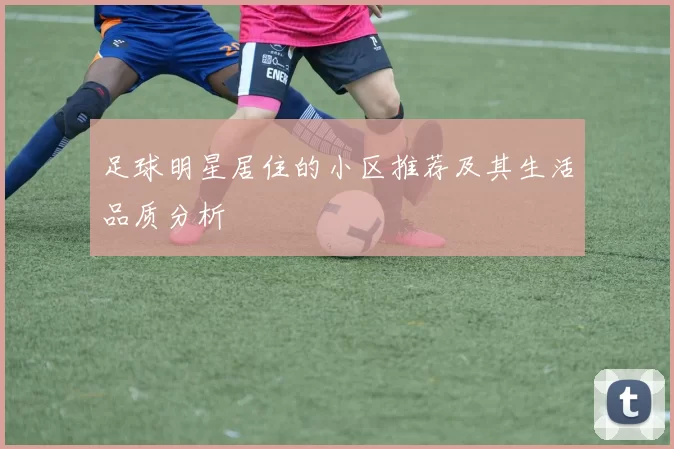 足球明星居住的小区推荐及其生活品质分析