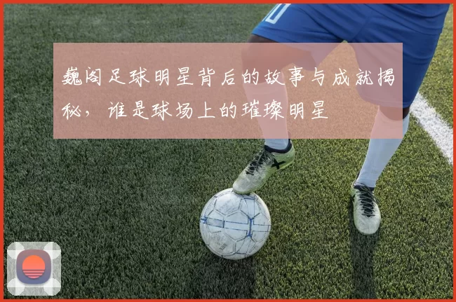 巍阁足球明星背后的故事与成就揭秘，谁是球场上的璀璨明星